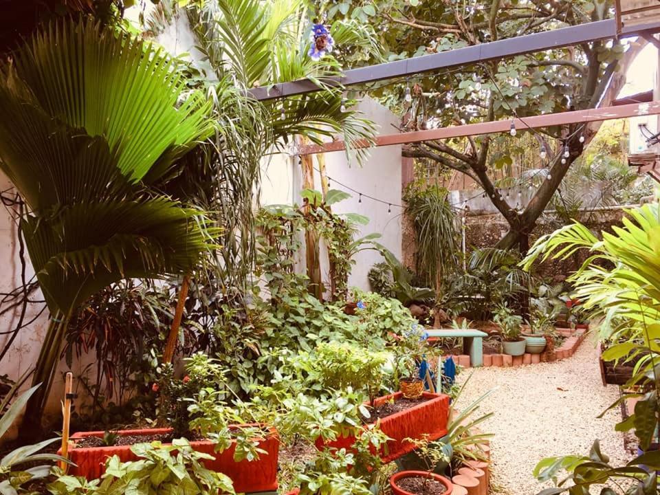 Hotel Casa Pellegrin Mérida Εξωτερικό φωτογραφία